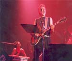 Gato Alquinta 1995